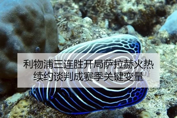 利物浦三连胜开局萨拉赫火热 续约谈判成赛季关键变量